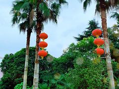 -太阳岛度假酒店