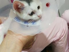 -宠颐生中康贝怡动物医院