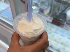 牛奶冰淇淋-白色日记·手作酸奶(麦凯乐店)