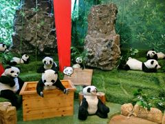 -济州岛泰迪熊博物馆