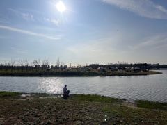 -春花秋色城市公园