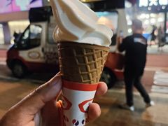 -富豪雪糕车流动点(尖沙咀店)