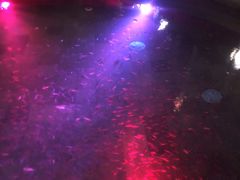 -杭州第一世界大酒店·云曼温泉