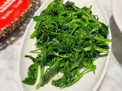 清炒豌豆荚-渝信川菜 · 川味家常菜(财富购物中心店)