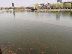 -西海子公园