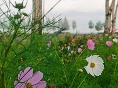 -凤凰山国家森林公园