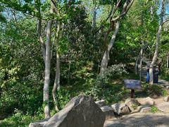 -上海佘山国家森林公园天马山园