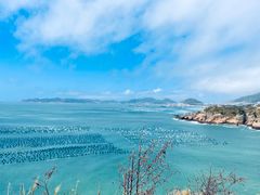 -枸杞岛
