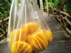 -海南槟榔谷黎苗文化旅游区