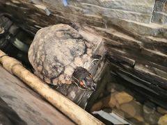 -渔家颂歌渔家味道(青石路店)