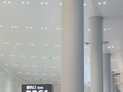 -广州白云国际机场-T2航站楼