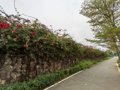 -万绿园