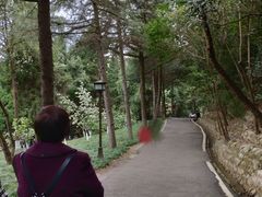 -富乐山