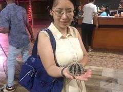 -海盗餐厅