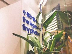 -天真蓝照相馆(杭州滨江宝龙店)