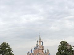 -迪士尼乐园停车场
