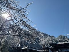 -瓦屋山景区