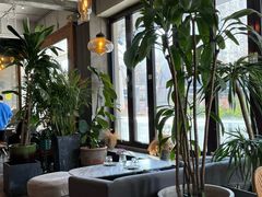 -the rug 飞毯 (朝阳公园店)