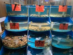 -北戴河庆山饭店·海鲜砂锅粥(北戴河黑石路店)
