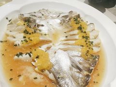 -燕郊烧鸽子(酷车小镇店)