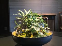-湖滨客舍·湖北菜