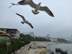 -黑石礁公园