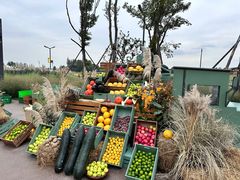 -中国天府农业博览园