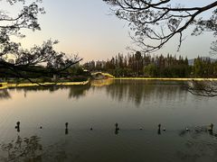 -江心屿景区