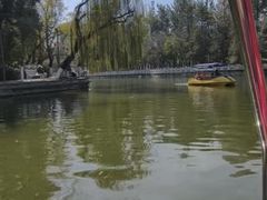 -翠湖公园