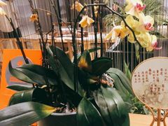 -素慧餐厅(大虹桥店)