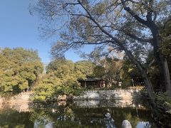 -柳侯公园