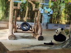 -海南热带野生动植物园
