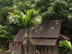 -海南槟榔谷黎苗文化旅游区