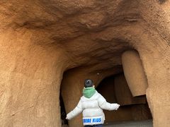 -西侯度遗址