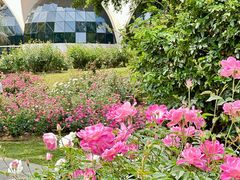 -人民公园(罗湖区)