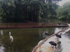 -海南热带野生动植物园