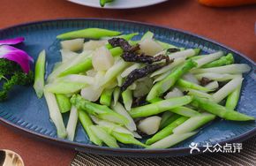 Asparagus with Oyster Mushroom