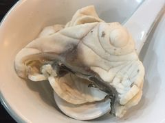 中山脆鲩鱼片-东椰·海南椰子鸡火锅(朝阳门店)