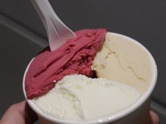 -Dip in Gelato(富民路店)