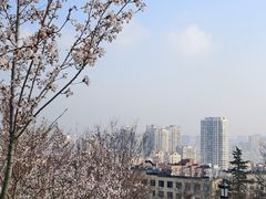 -青岛海滨风景区