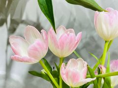 -何兮花店·气球派对鲜花店(马桥银春路万科城店)