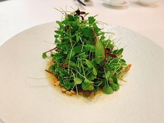 -茗鼎汇(星方汇广场店)