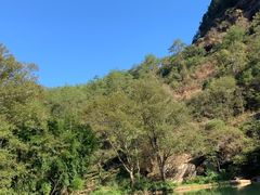 -九曲溪竹筏码头