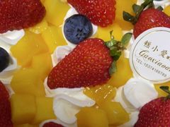 -糕小爱动物奶油生日蛋糕定制(晋江万达店)