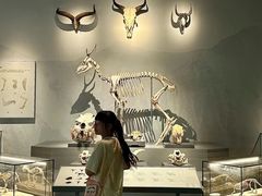 -四川大学博物馆