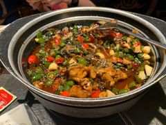 青椒紫苏味-蛙小侠·沸腾砂锅(南山欢乐颂店)