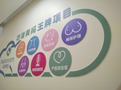 -哈喽美妈产后恢复中心(乐堤港店)