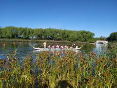 -大兴滨河森林公园