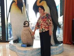 -帝企鹅自助餐厅•儿童岛•真企鹅(长隆企鹅酒店)