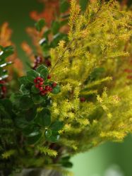 -HeyJewel全球独立设计师原创首饰集合店